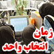 زمان ثبت نام و انتخاب واحد نیمسال دوم 97-96 پیام نور / زمان های ضروری